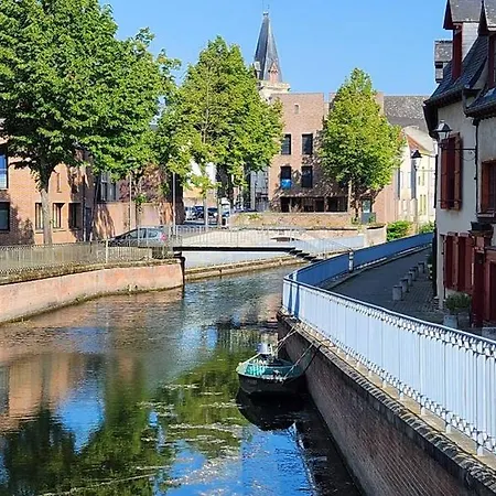 Les Hortensias Blancs * Amiens