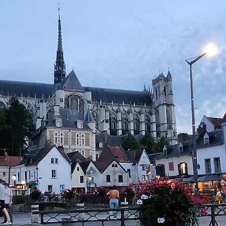 Les Hortensias Blancs * Amiens